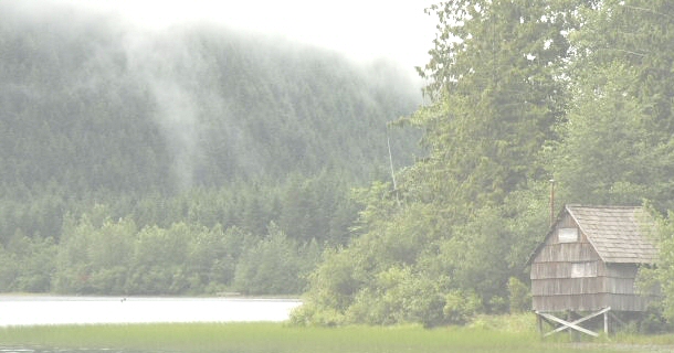 mountains surrounded by heavy mists